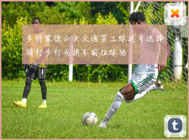 多特蒙德公共交通罢工球迷可选择骑行步行或拼车前往球场